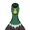 Emerald Duck