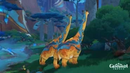 In the wild