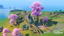 Araumi