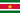 Flag of Suriname