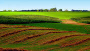 Midwest-farm-land.jpg