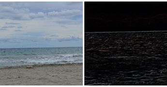 Cies.jpg