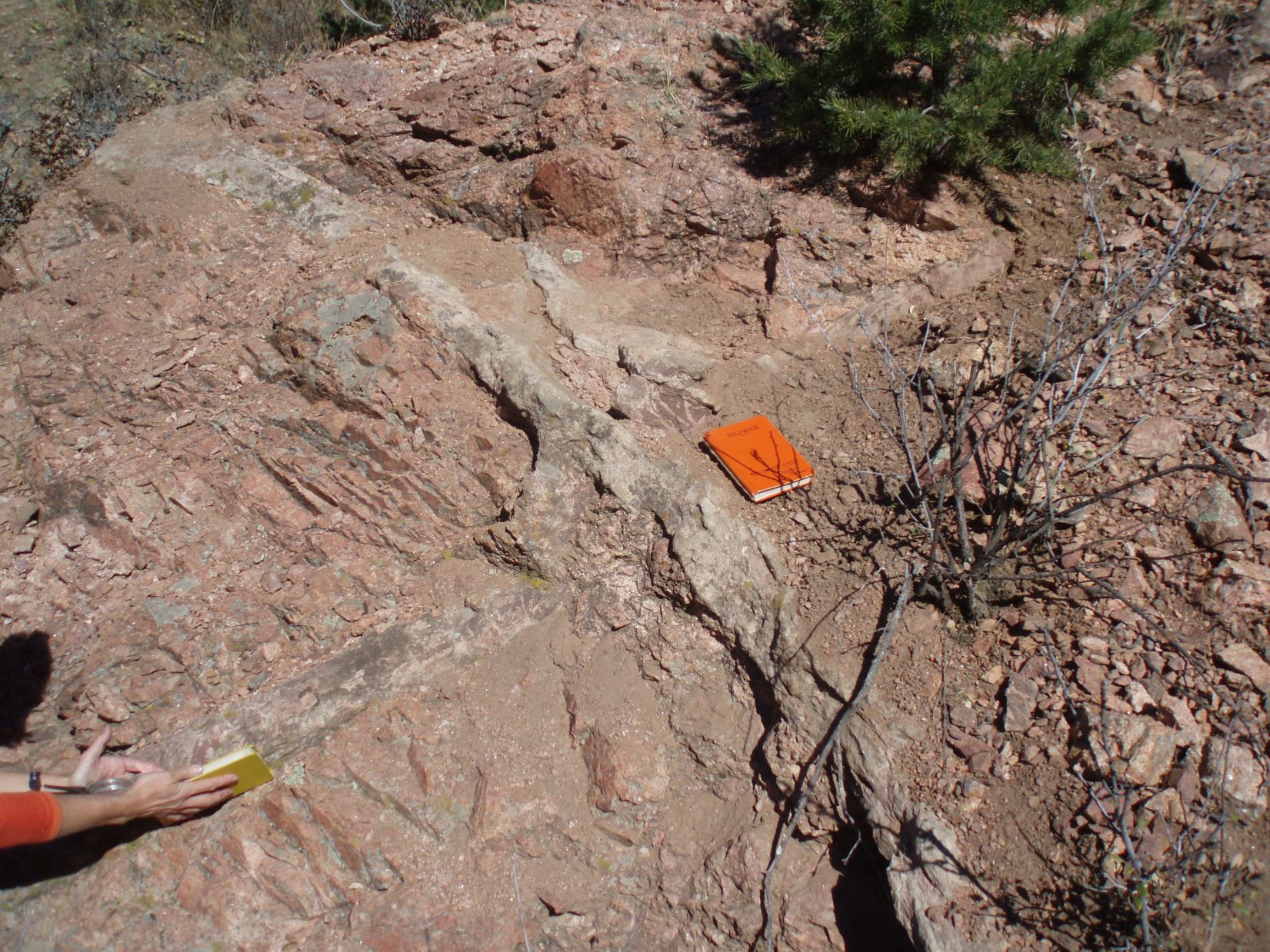 File:Bay of Fundy rock formations.jpg - Wikipedia