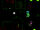 Digital Glitch