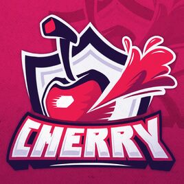 Cherry new2