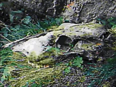 Blog Page Screenshot 2