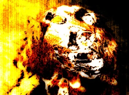 Like The Dog I Am | Lost Episode Creepypasta Wiki | Fandom