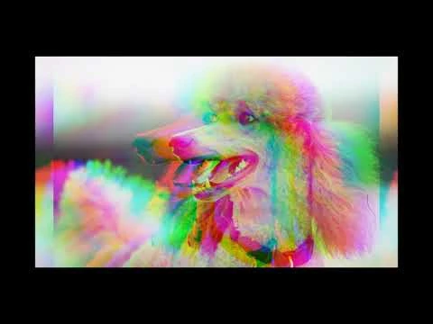 The Flaming Poodle Lost Episode Creepypasta Wiki Fandom
