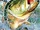 Sega Bass Fishing a Friends Grief
