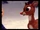 Randolph the Reindeer