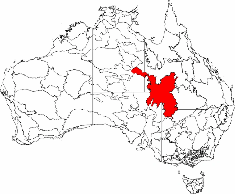 Simpson Desert Geography Study Guide Wiki Fandom