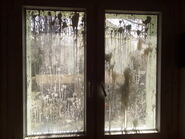 K-fenster-neu-angestrichen-18-03-2020.jpg (357 KB) Fenster neu angestrichen (18.03.2020)