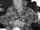 Kathe Wulf