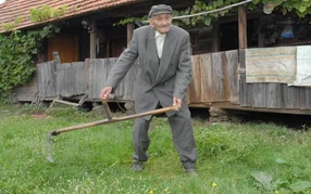 Nikola Barkovic