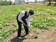 Aged 102 in July 2017, works in the garden