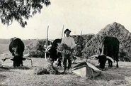 Joaquim as a young man working in the fields