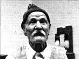 Domenico Minervino