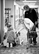 IrisWestmandog2.jpg (86 KB) Westman with her great-great-great nephew.