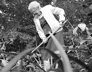 LIZZIE 104.png (223 KB) Brown (age 104) tending to her garden in 1996.