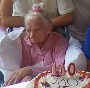 Dafne Sivelli Gerontology Wiki Fandom
