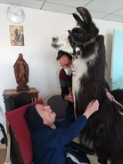 Randon (aged 118) petting a llama on 7 March 2022.