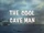 The Cool Cave Man
