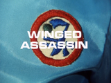 Winged Assassin