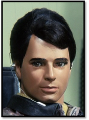 WAS-Pilot.png
