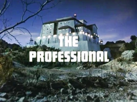 Title card (the professional)