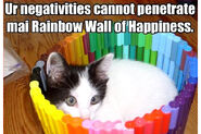 Rainbow-Wall