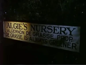 Algie's Nursery.