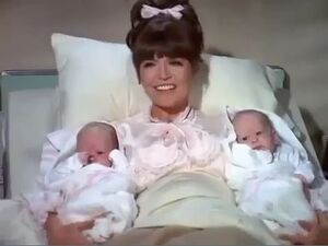 やっちゃん 様 twins Zach's Sister | Get Smart Wiki | Fandom