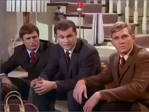 Purvis-schmidt-moody