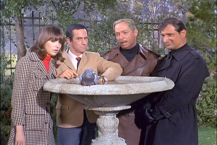 Spy, Spy, Birdie | Get Smart Wiki | Fandom