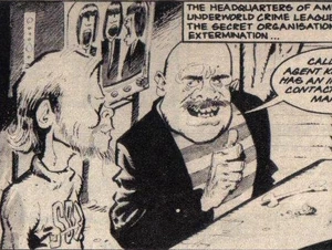 Secret-organization-x