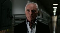 Siegfried (2008 film)