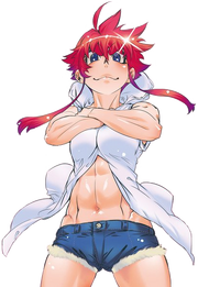 Banko - Appearance.png