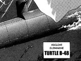 Turtle B-48