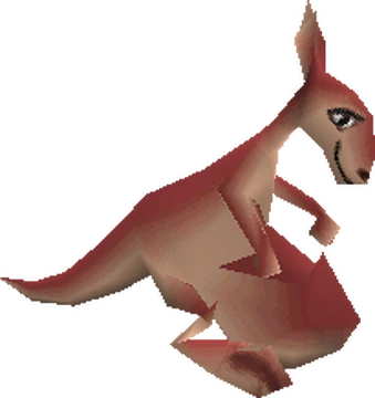 Kangaroo