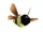 Bumblebee