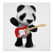 Panda Guitarist