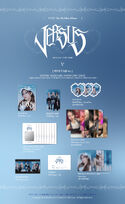 PLVE Umji version preview (updated)