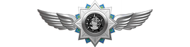 Elite Hunter 5 Stars