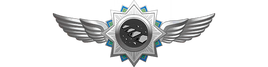 Dream Ladder 5 Stars