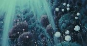 Wie giftig die Pilzsporen sein mögen, ihr Schnee ist magisch schön.