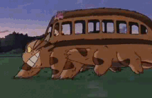 Was es vorm Kauf die Totoro buskatze zu beachten gibt!
