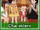 V4-charas.png