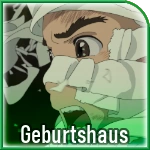 V8r-geburtshaus