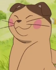 拿多露