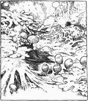 Die verschiedenen Formen der Schleimpilze.